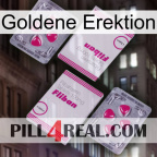 Golden Erection 33